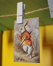 Cargar imagen en el visor de la galería, Magnetos Alice In Wonderland